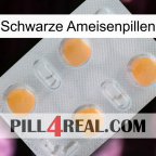 Black Ant Pills 24
